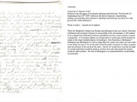 Example Of Our Transcription Service