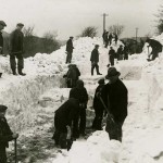 Manx National Heritage