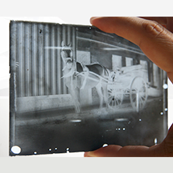 Glass Plate Negatives Thumbnail